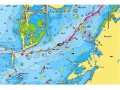 Garmin Navionics+