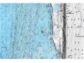 Garmin Navionics+