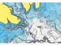 Garmin Navionics+